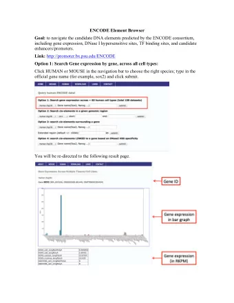 ENCODE Element Browser Goal: to navigate the candidate DNA elements predicted by the ENCODE