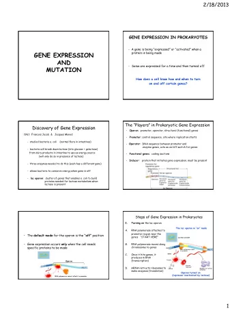 GENE EXPRESSION  protein is being made  AND  - Some are expressed for a time and then turned off