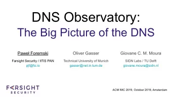 DNS Observatory:  The Big Picture of the DNS  Pawe Foremski  Oliver Gasser  Giovane C. M. Moura