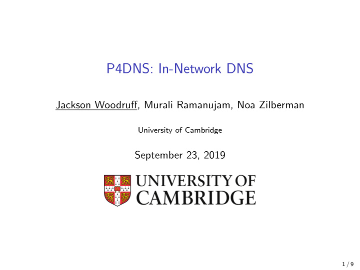 p4dns in network dns