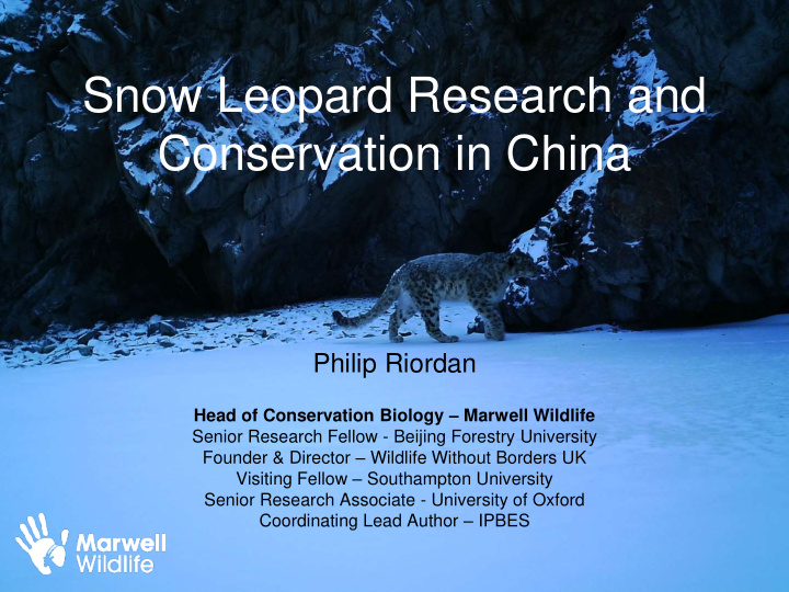 snow leopard research and