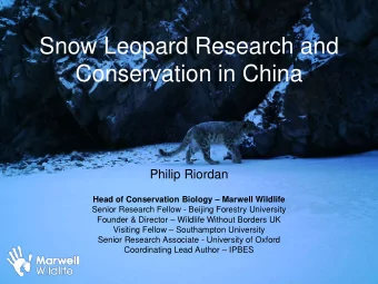 Snow Leopard Research and  Conservation in China  Philip Riordan Head of Conservation Biology