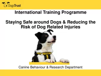 Staying Safe around Dogs &amp; Reducing the  Risk of Dog Related Injuries  Canine Behaviour &amp;