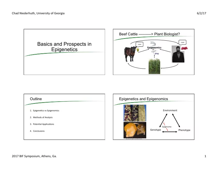 basics and prospects in
