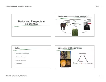Basics and Prospects in  YUM!    YUM!    Epigenomics    Epigenetics  Outline  Epigenetics