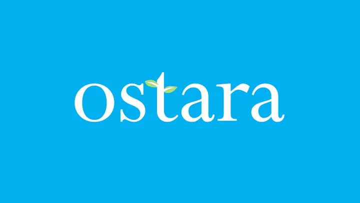your online fundraising plan and more