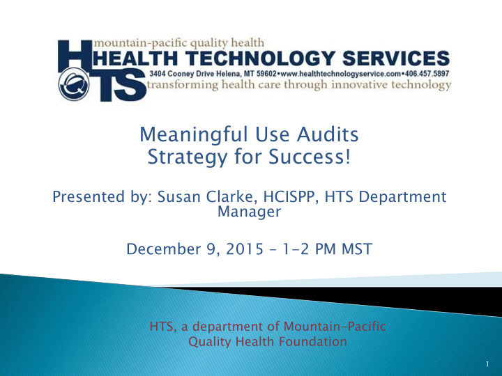 meaningful use audits strategy for success