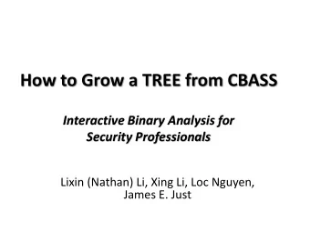 How to Grow a TREE from CBASS  Interactive Binary Analysis for Security Professionals  Lixin