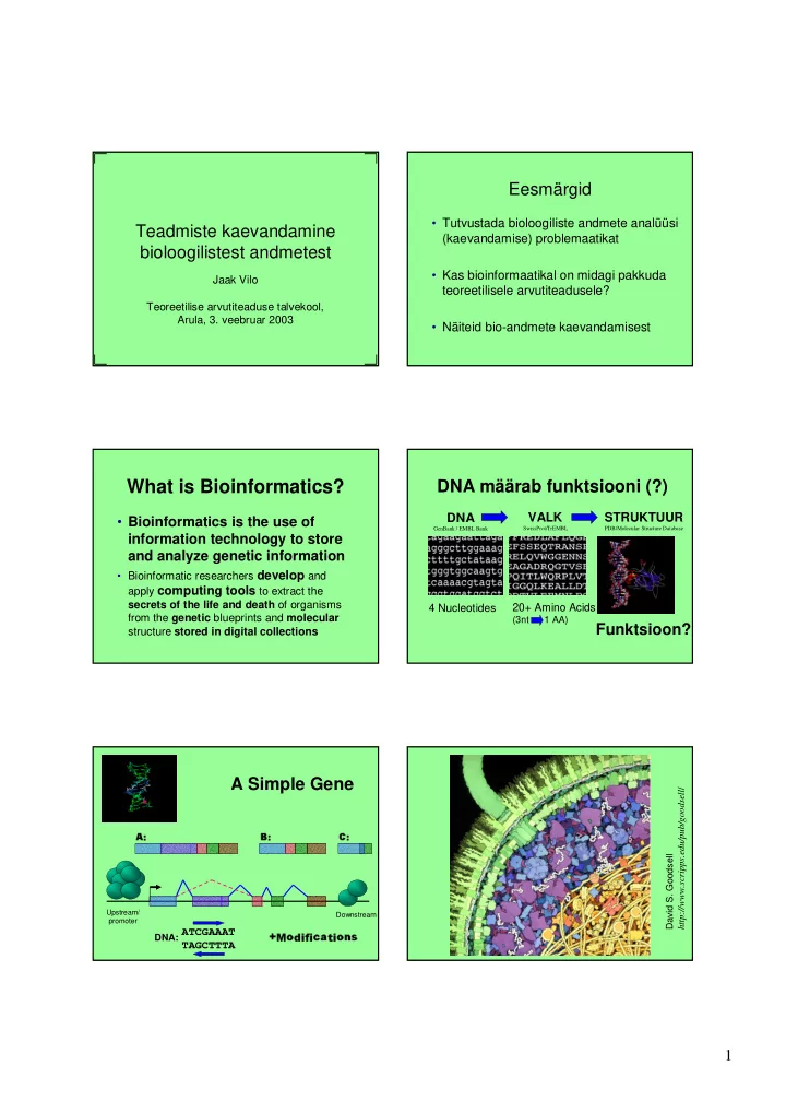 what is bioinformatics
