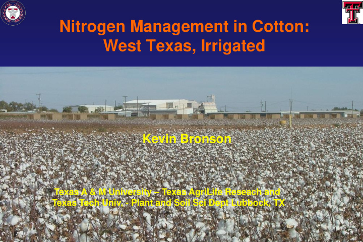 nitrogen management in cotton west texas irrigated