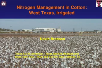 Nitrogen Management in Cotton:  West Texas, Irrigated  Kevin Bronson Texas A &amp; M University