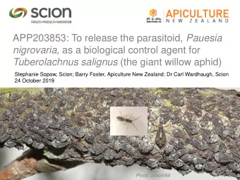 APP203853: To release the parasitoid, Pauesia nigrovaria, as a biological control agent for
