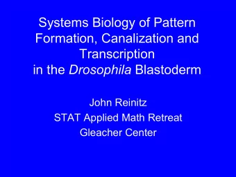 Systems Biology of Pattern  Formation, Canalization and  Transcription in the Drosophila Blastoderm