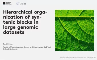 Hierarchical orga-  nization of syn-  tenic blocks in  large genomic  datasets  Daniel Doerr