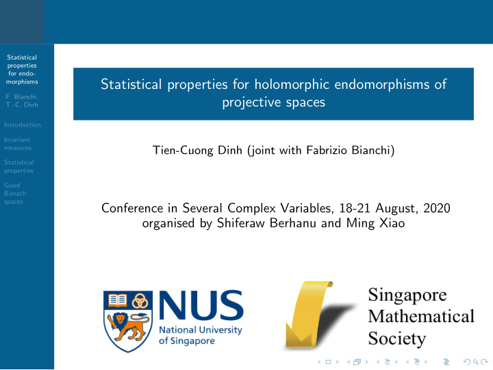 statistical properties for holomorphic endomorphisms of