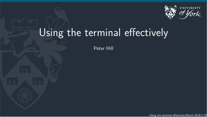 using the terminal effectively