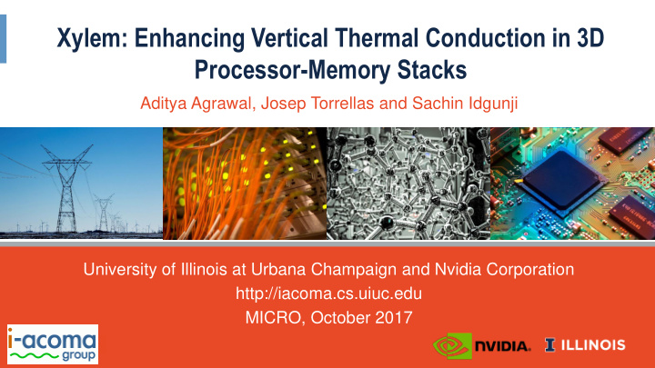 xylem enhancing vertical thermal conduction in 3d