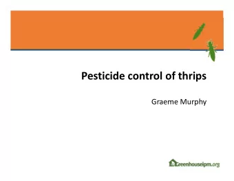 Pesticide control of thrips Graeme Murphy Pesticide control of thrips or Nostalgia aint