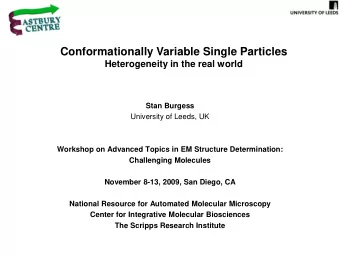 Conformationally Variable Single Particles  Heterogeneity in the real world  Stan Burgess