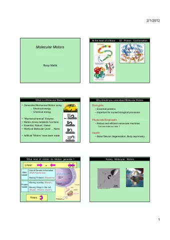 Molecular Motors  Roop Mallik  What is a Molecular Motor ?  Why should you care about Molecular