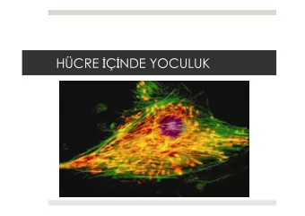 HCRE    NDE YOCULUK  (Kaynak: Biyoloji, Campbell &amp; Prof. Dr. Bekta  TEPE  Reece)