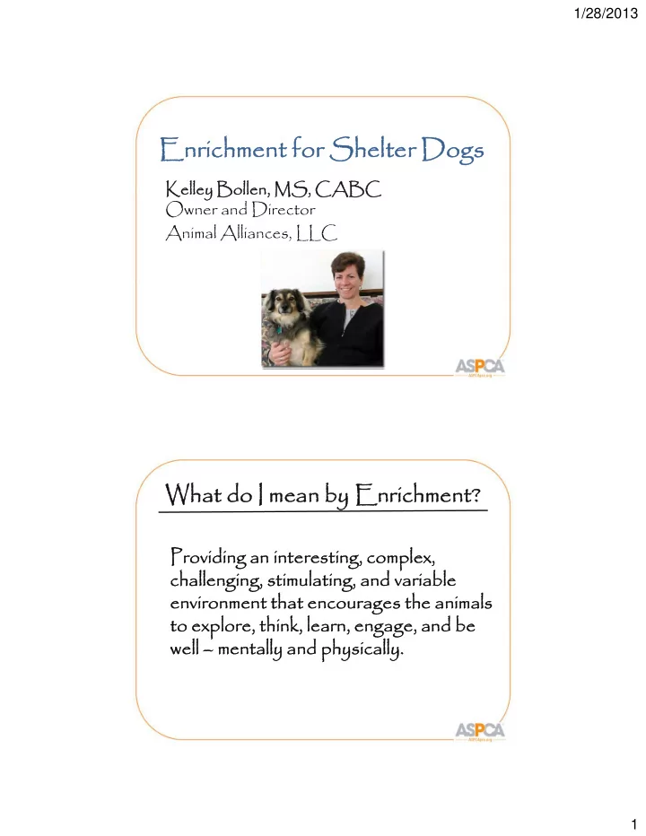 enrichment for enrichment for shelter dogs shelter dogs