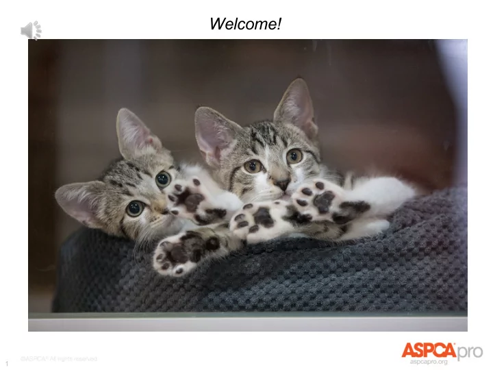 welcome