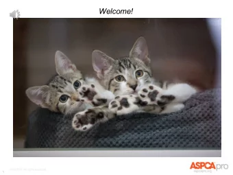 Welcome!  1  Fostering 4 R  Rock Stars  Learn How to Rock Kitten Season!  2  Presented by: K