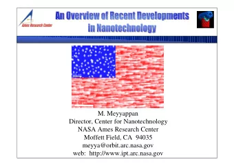 M. Meyyappan  Director, Center for Nanotechnology  NASA Ames Research Center  Moffett Field, CA