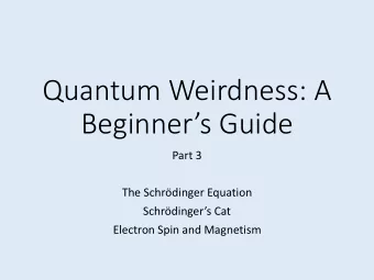 Beginners Guide  Part 3  The Schrdinger Equation  Schrdingers Cat  Electron Spin and