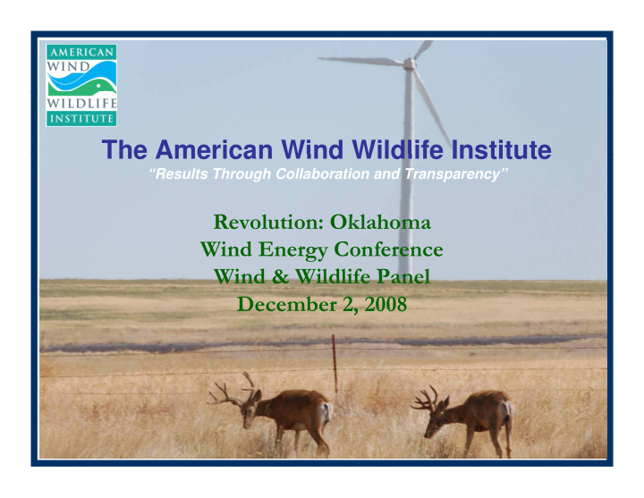 the american wind wildlife institute the american wind