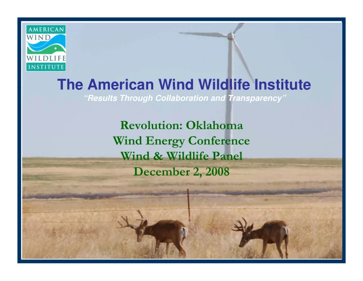 the american wind wildlife institute the american wind