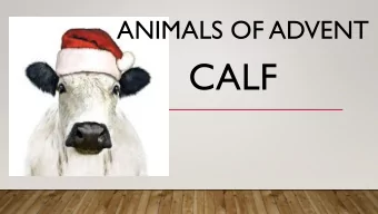 CALF  Through Jesus lost paradise is restored!  The wolf will live with the  lamb, the leopard