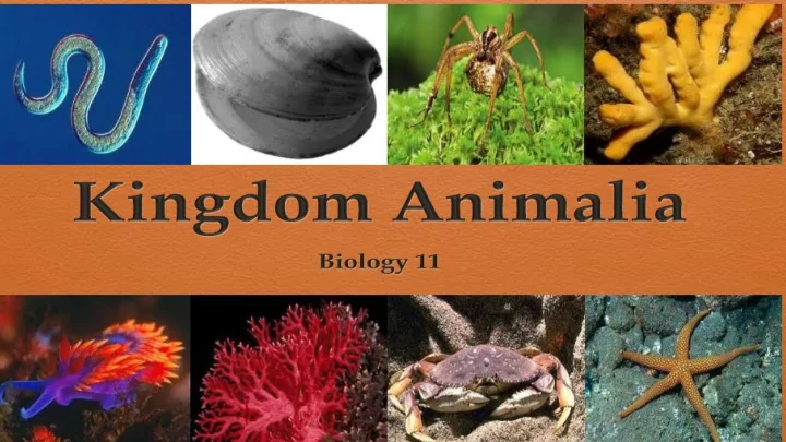typical animal characteristics
