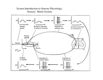 System Introduction to Sensory Physiology:  Sensory- Motor System  General Properties of