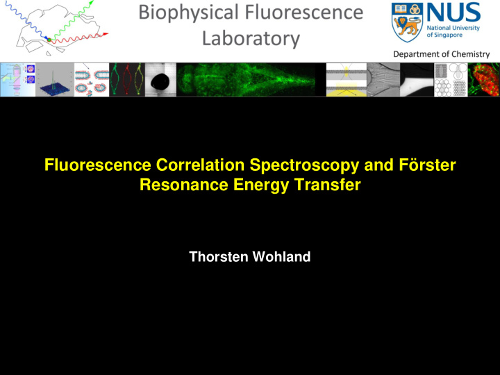 fluorescence correlation spectroscopy and f rster