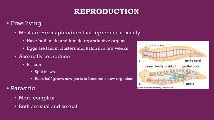 reproduction