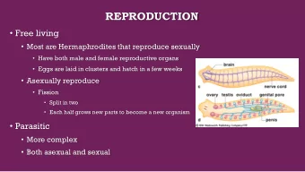 REPRODUCTION  Free living  Most are Hermaphrodites that reproduce sexually  Have both male