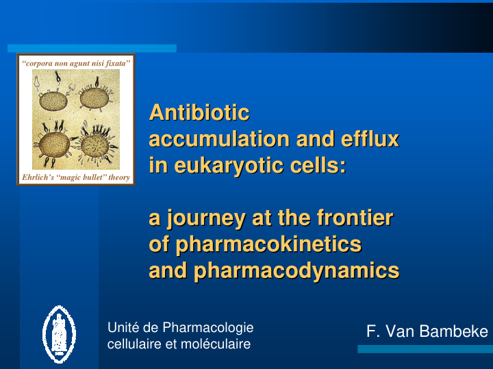 antibiotic antibiotic accumulation and efflux
