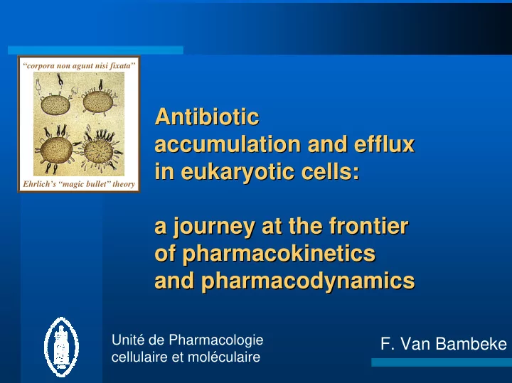 antibiotic antibiotic accumulation and efflux