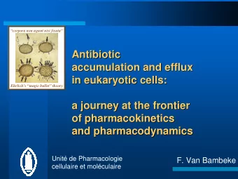 Antibiotic  Antibiotic  accumulation and efflux  accumulation and efflux  in eukaryotic cells:  in