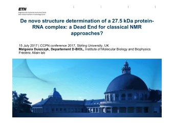 De novo structure determination of a 27.5 kDa protein-  RNA complex: a Dead End for classical NMR
