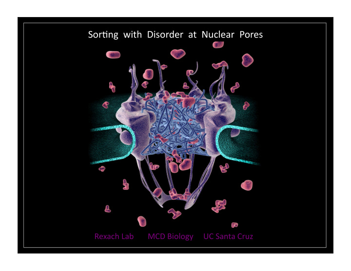 sor ng with disorder at nuclear pores