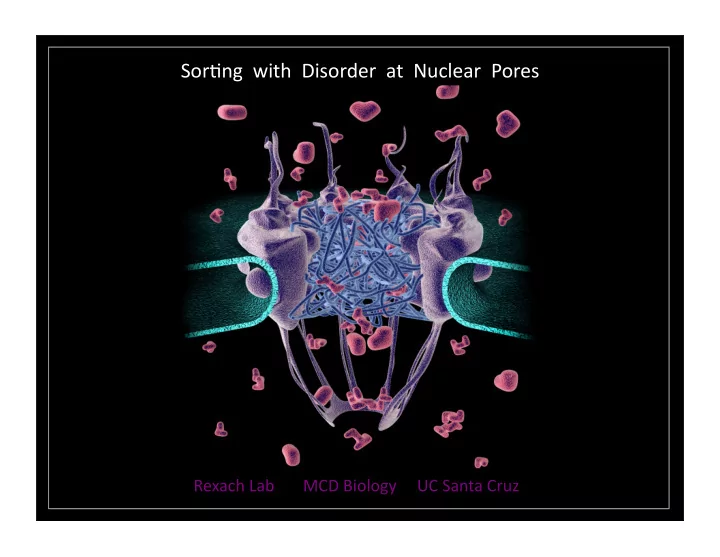 sor ng with disorder at nuclear pores