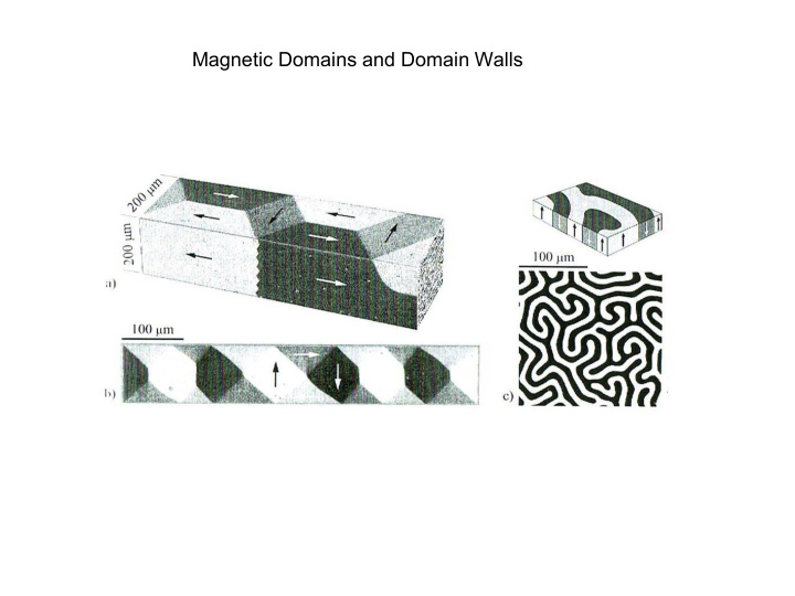 magnetic domains and domain walls bitter technique