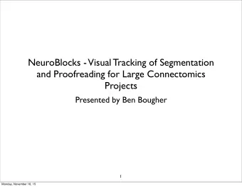 NeuroBlocks -  Visual Tracking of Segmentation  and Proofreading for Large Connectomics  Projects