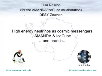 High energy neutrinos as cosmic messengers:  AMANDA &amp; IceCube  one branch