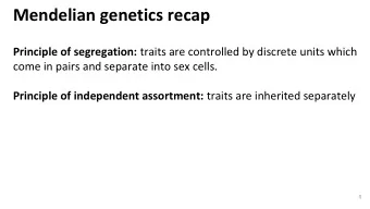 Mendelian genetics recap Principle of segregation: traits are controlled by discrete units which