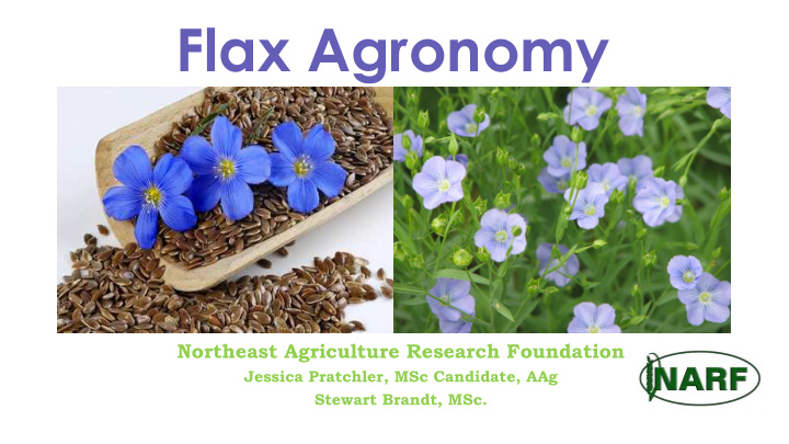 flax agronomy