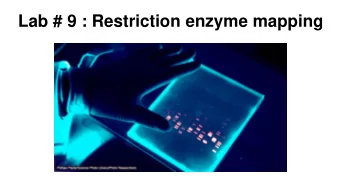Lab # 9 : Restriction enzyme mapping  Restriction Enzymes Restriction enzymes , also known as